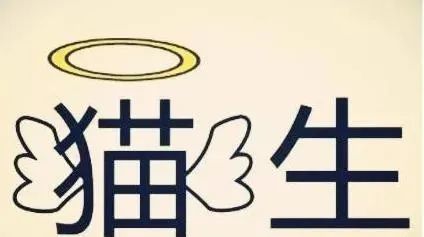 一天一个成语 十羊九牧
